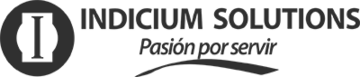 Indicium Solutions Logo